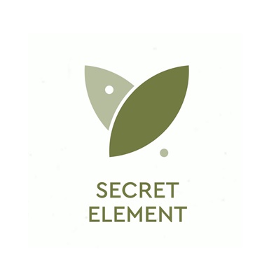 SECRET ELEMENT
